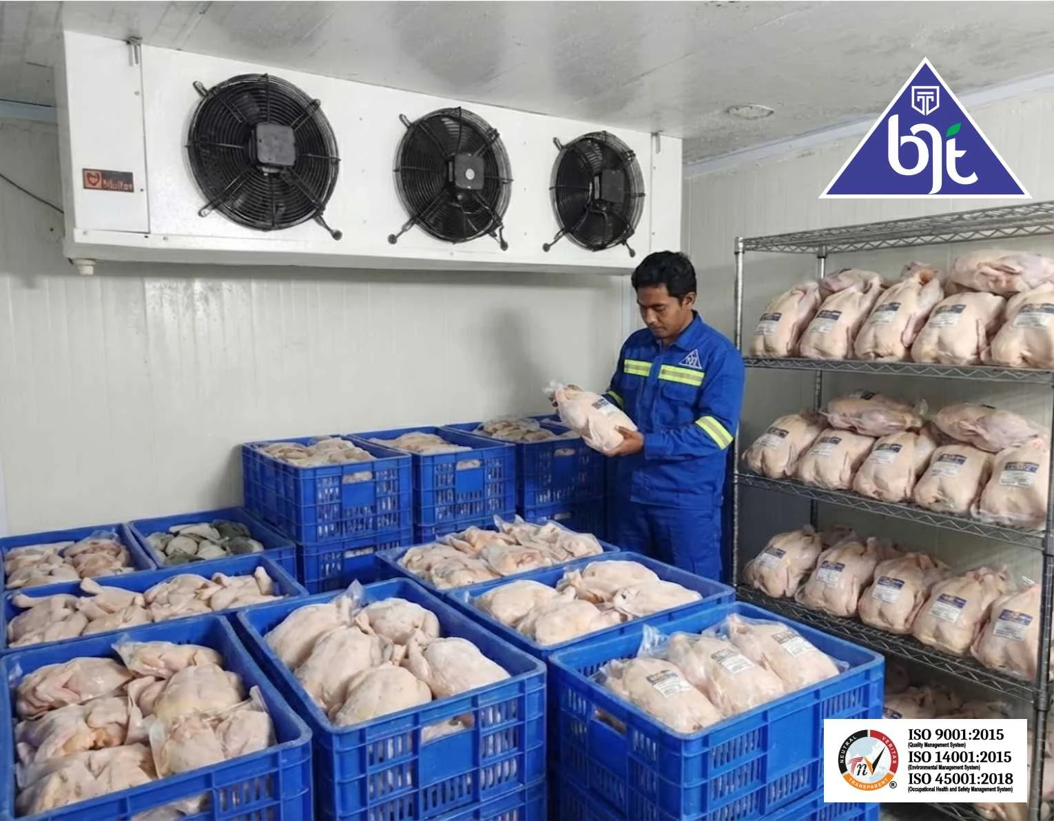Cold storage freezer untuk daging ayam utuh